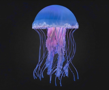 Modern Aquatic Animals-ID:979978084
