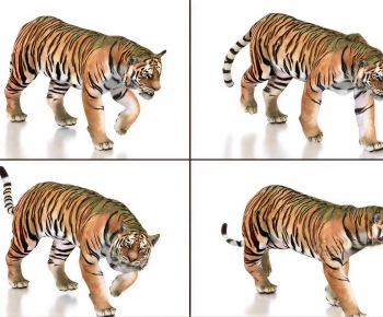 Modern Mammal-ID:609074129