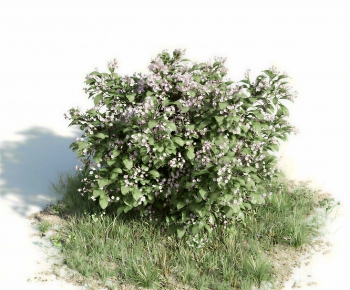 Modern Shrubbery-ID:624557971