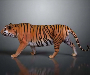 Modern Mammal-ID:165312055