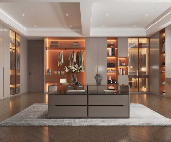 Modern Clothes Storage Area-ID:206253053