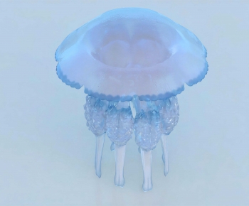 Modern Aquatic Animals-ID:135376938