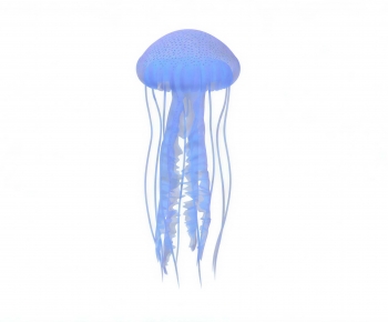 Modern Aquatic Animals-ID:209970007