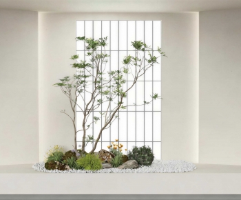 Modern Plant Landscaping-ID:707281113