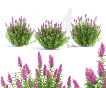 Modern Flowers And Grass-ID:293867116