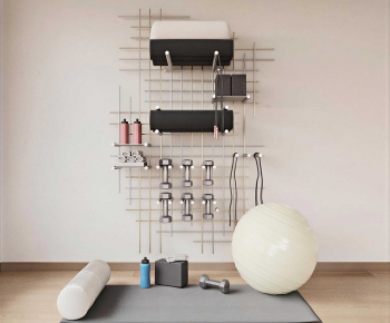 Modern Fitness Equipment-ID:699534896