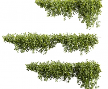 Modern Vine-ID:820229196