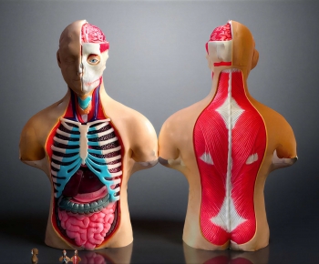Modern Medical Equipment-ID:385597948