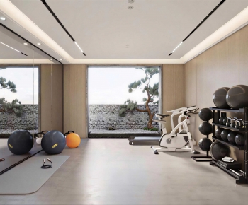 Modern Home Fitness Room-ID:430299049