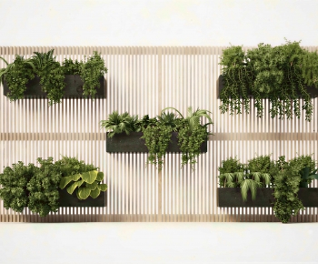 Modern Flower Bed, Flower Bowl, Flower Box-ID:391072036
