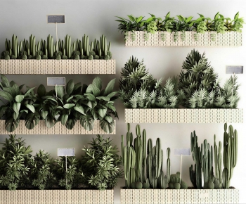 Modern Flower Bed, Flower Bowl, Flower Box-ID:556363114