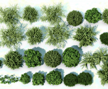 Modern Shrubbery-ID:719043028