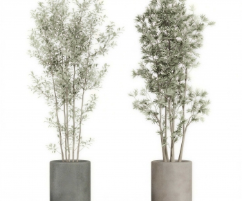 Modern Ground Green Plant Potted Plants-ID:864006048