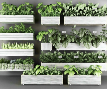 Modern Flower Bed, Flower Bowl, Flower Box-ID:733509138