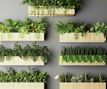 Modern Flower Bed, Flower Bowl, Flower Box-ID:348534111