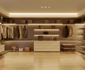 Modern Clothes Storage Area-ID:284074074