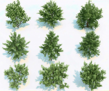 Modern Shrubbery-ID:418793927