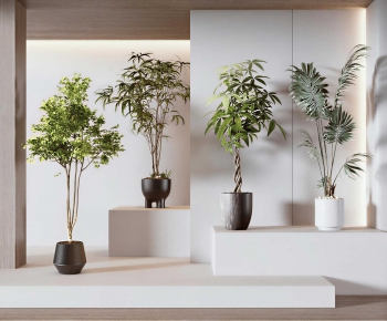 Modern Ground Green Plant Potted Plants-ID:700133091