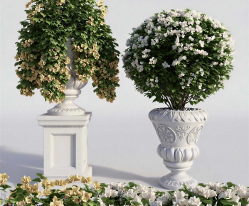 European Style Flower Bed, Flower Bowl, Flower Box-ID:791415931