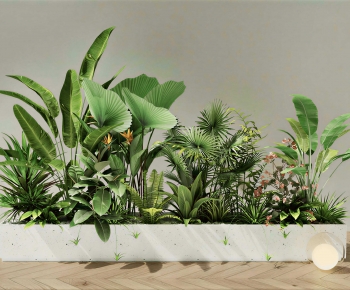 Modern Flower Bed, Flower Bowl, Flower Box-ID:718910937