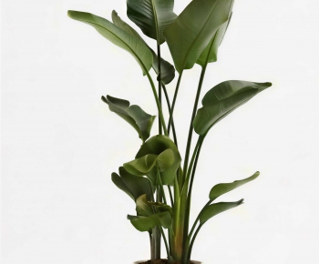 Modern Ground Green Plant Potted Plants-ID:872050052