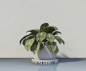 Modern Potted Green Plant-ID:668566942