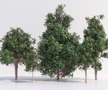 Modern Tree-ID:303899054