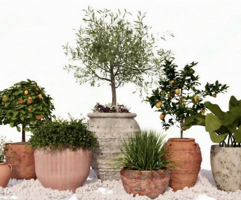 Modern Ground Green Plant Potted Plants-ID:197211986