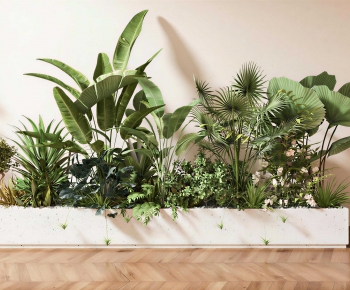 Modern Plant Landscaping-ID:529379824