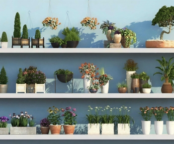 Modern Potted Green Plant-ID:104057076
