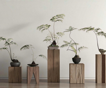 Wabi-sabi Style Bonsai-ID:543982981