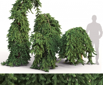 Modern Shrubbery-ID:326693065