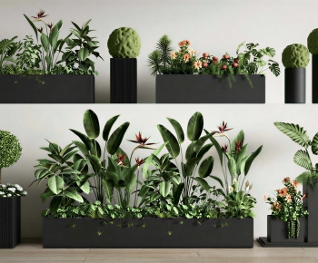 Modern Flower Bed, Flower Bowl, Flower Box-ID:725182061