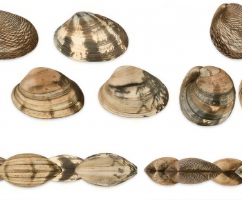 Modern Aquatic Animals-ID:171525961