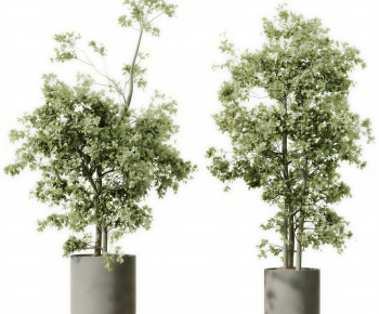 Modern Ground Green Plant Potted Plants-ID:355451159