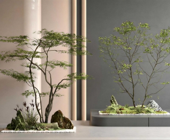 Modern Plant Landscaping-ID:963790896
