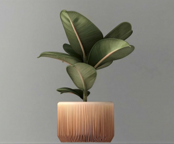 Modern Ground Green Plant Potted Plants-ID:516053925