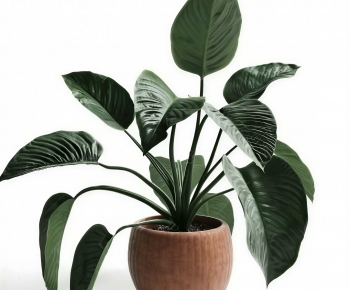 Modern Potted Green Plant-ID:630273103