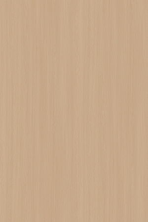 ModernWood Texture