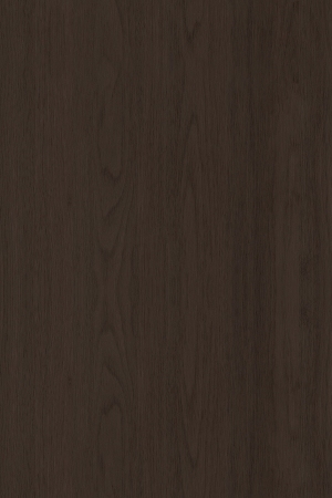 ModernWood Texture