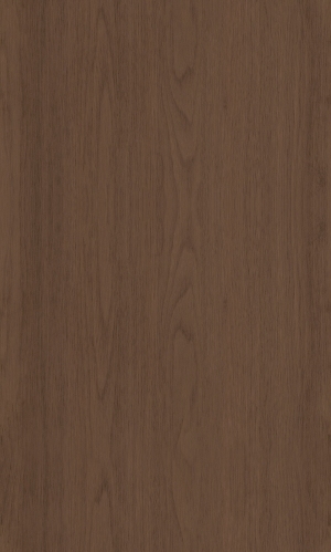 ModernWood Texture
