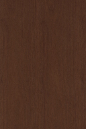 ModernWood Texture