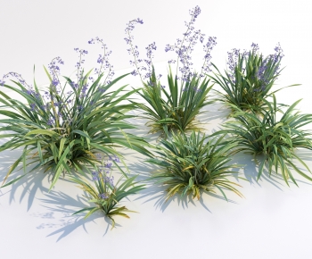 Modern The Grass-ID:248212102