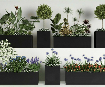 Modern Flower Bed, Flower Bowl, Flower Box-ID:941735039