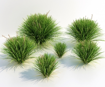 Modern The Grass-ID:891411076