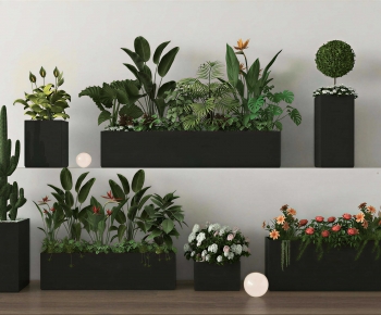 Modern Flower Bed, Flower Bowl, Flower Box-ID:311110073