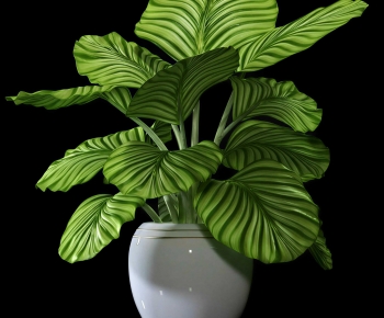 Modern Potted Green Plant-ID:327338935