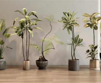 Modern Ground Green Plant Potted Plants-ID:663526069