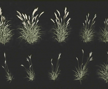 Modern The Grass-ID:740139554