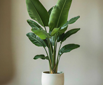 Modern Ground Green Plant Potted Plants-ID:154598005